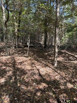 Land, Gilmer, TX
