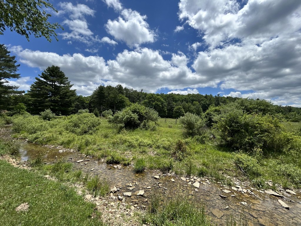 Picture 63