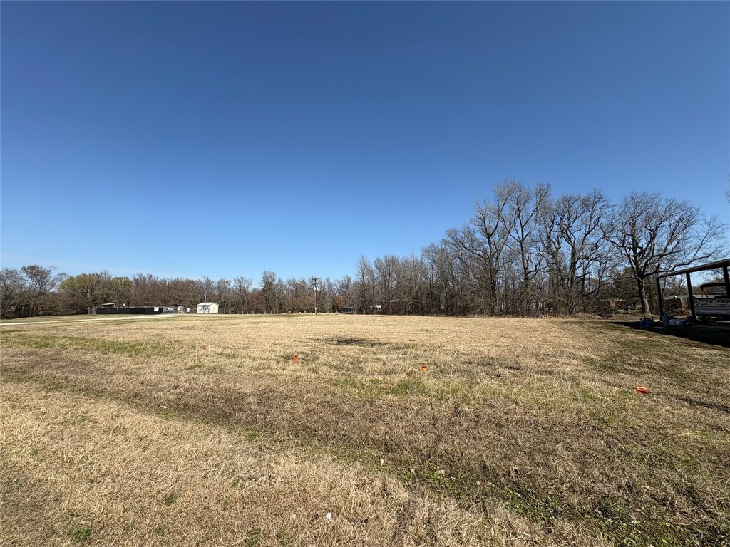 Picture 2