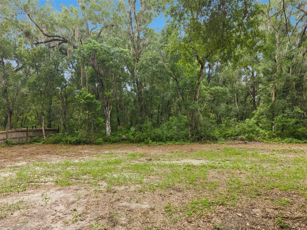 Picture 22