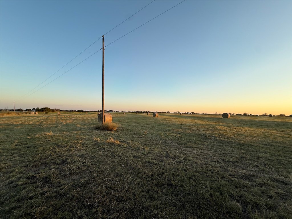 Picture 11