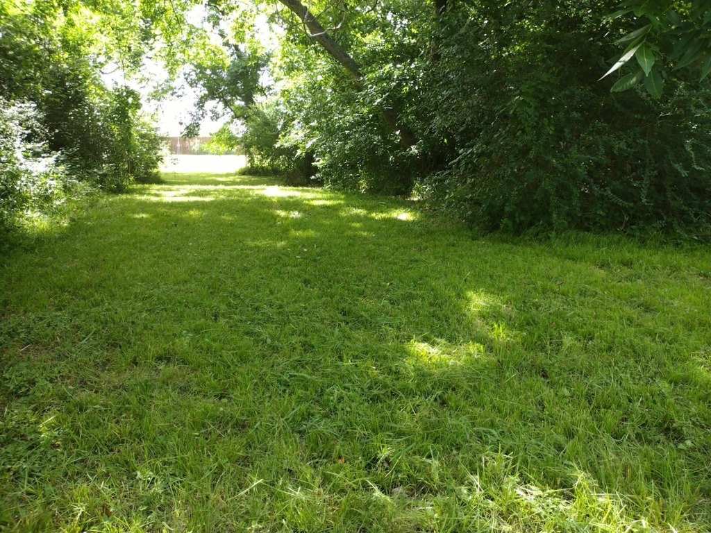 Picture 2
