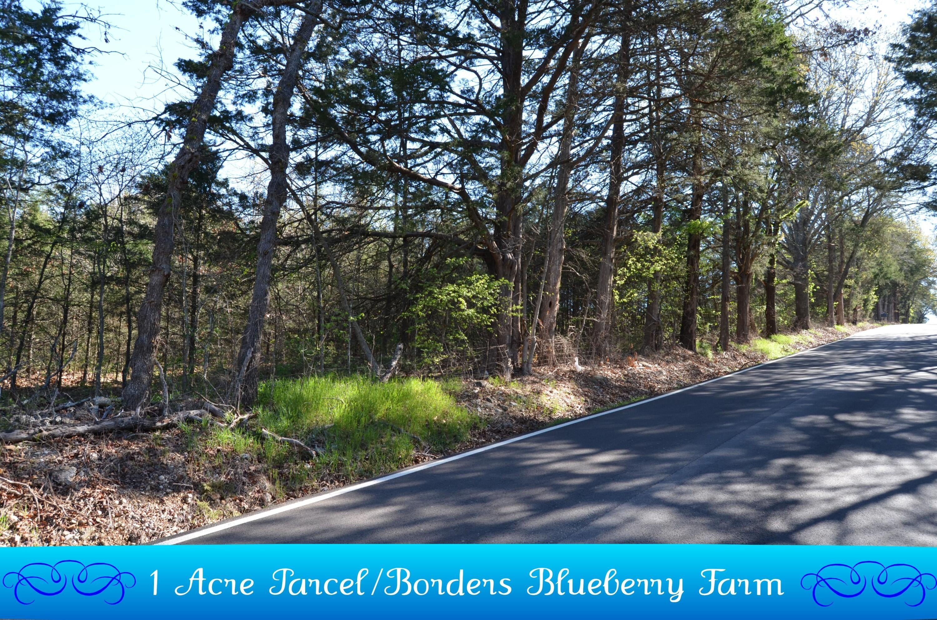 Land Near Table Rock Lake