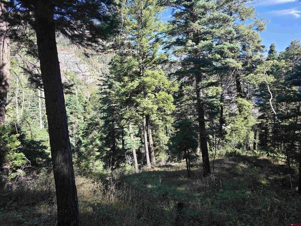 Picture 25