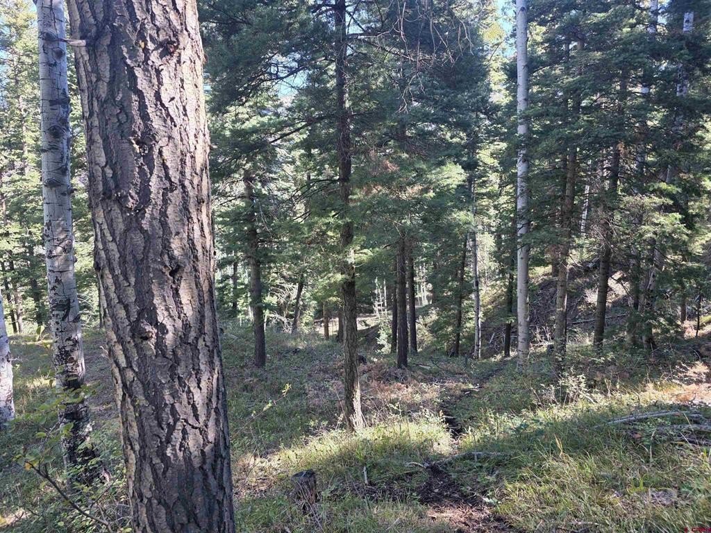 Picture 23