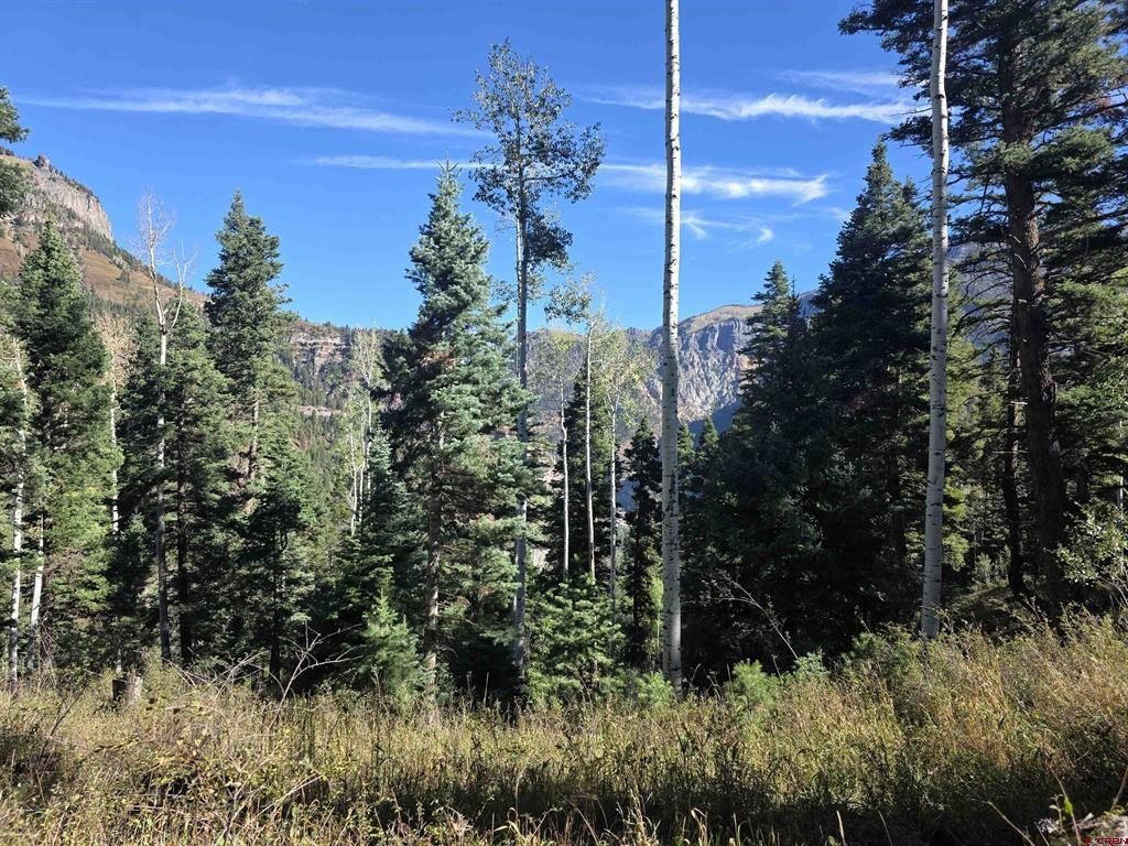 Picture 20
