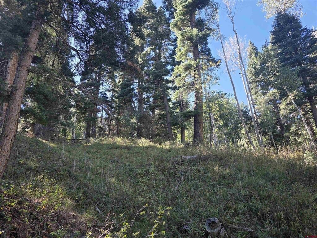 Picture 16