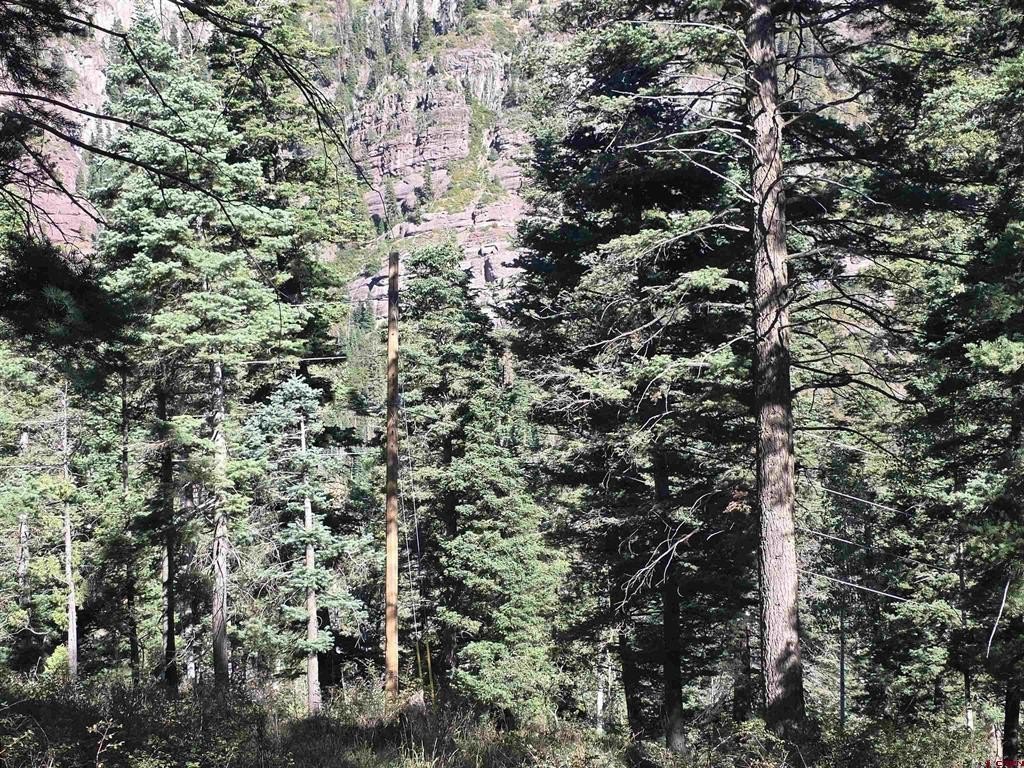 Picture 18