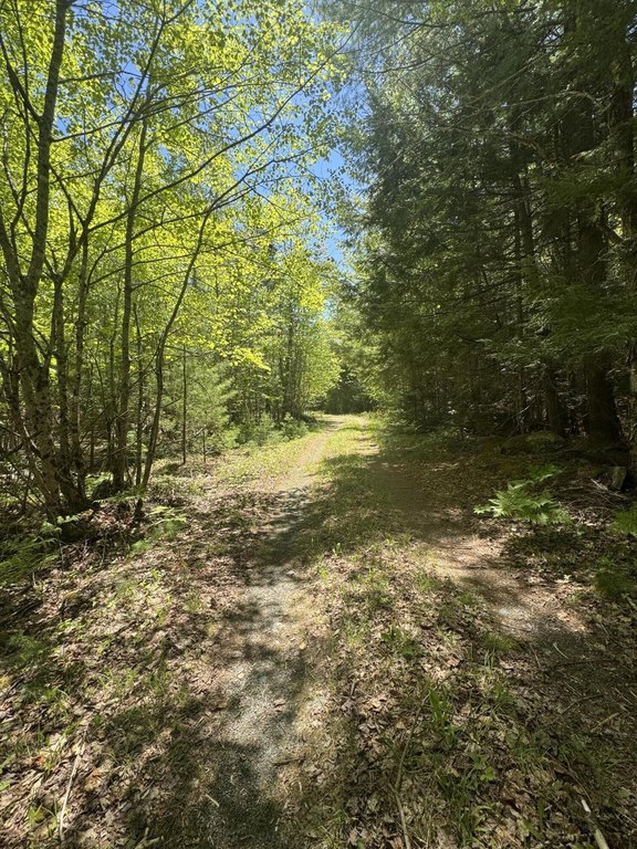Picture 12
