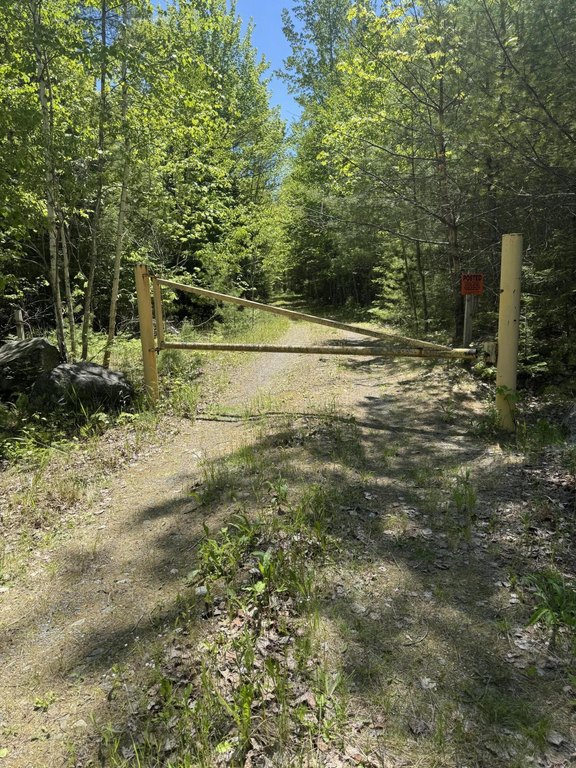 Picture 7