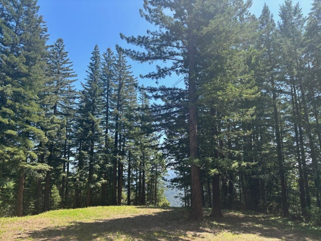 Picture 26