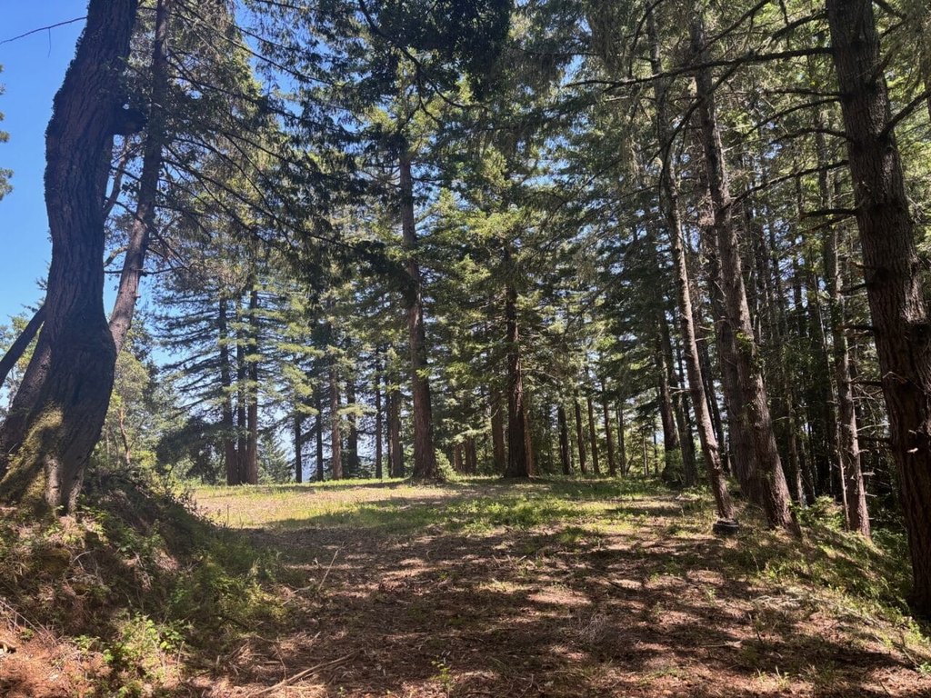 Picture 25