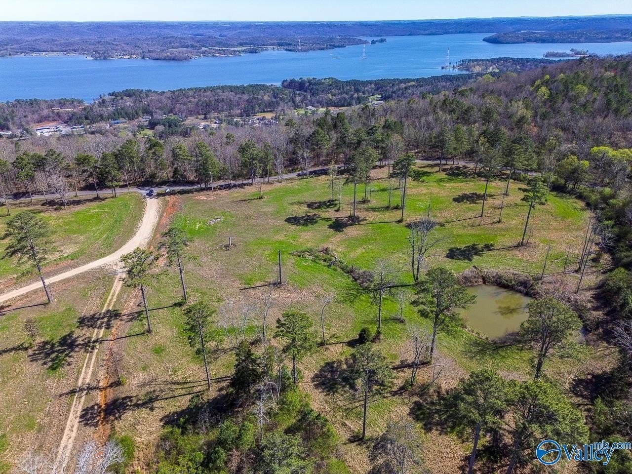 Scottsboro Land with Bluff Views