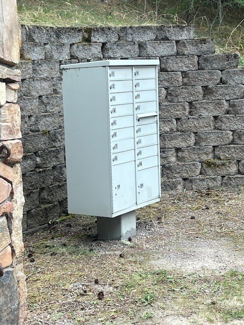 Picture 4