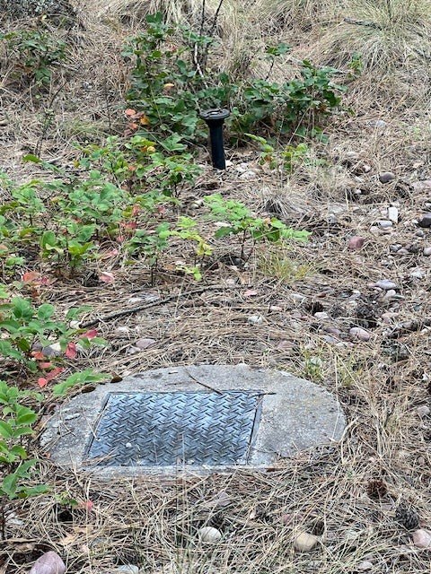 Picture 6