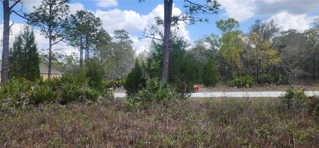 Picture 2