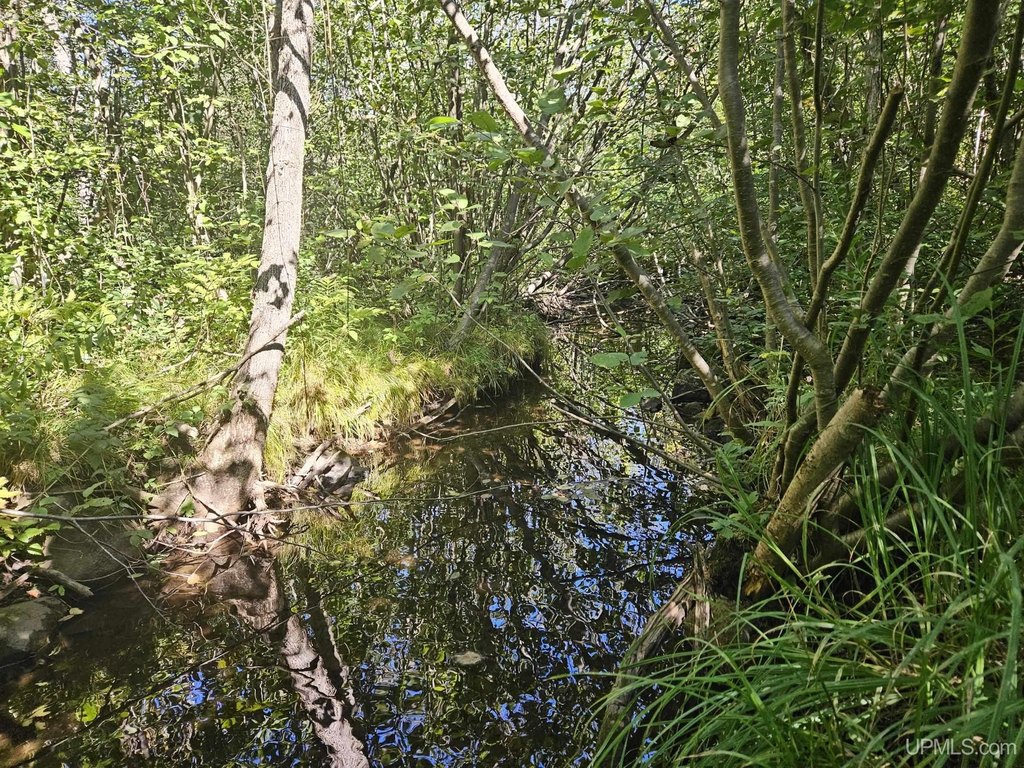Picture 24