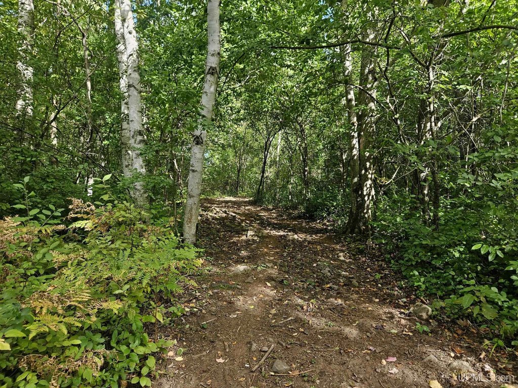 Picture 22