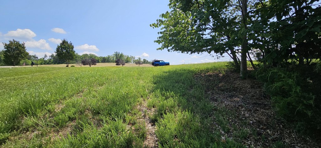 Picture 22