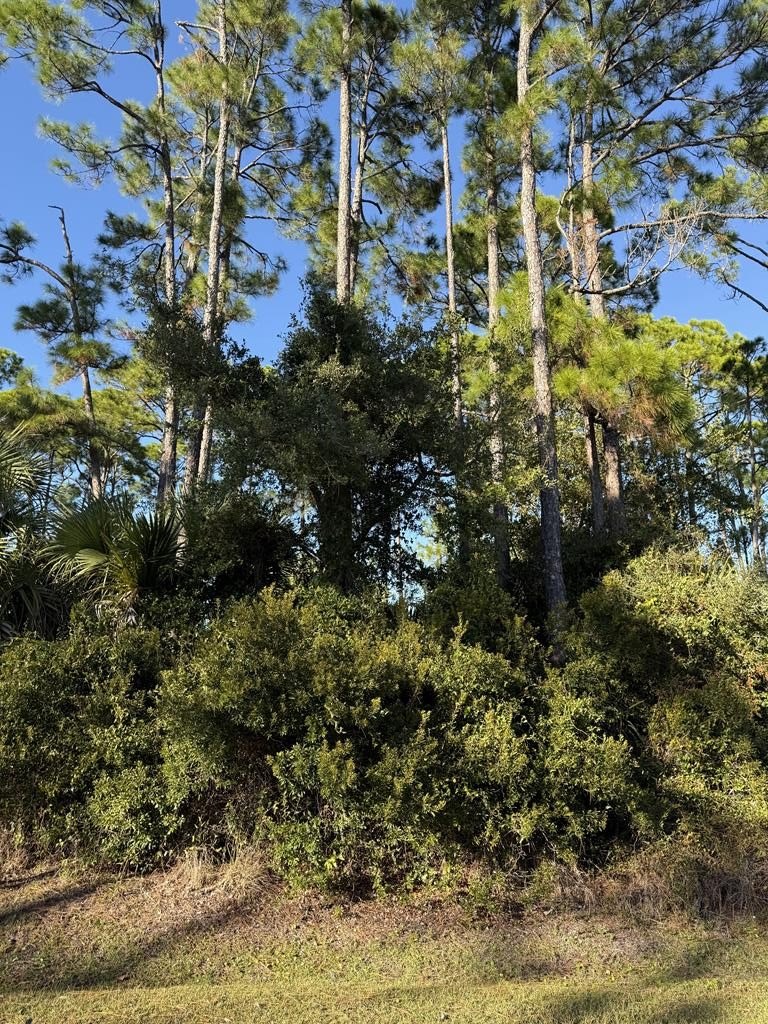 Port St. Joe Building Lot