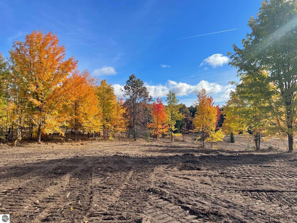 Picture 28