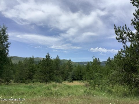 LAND - St. Maries, ID