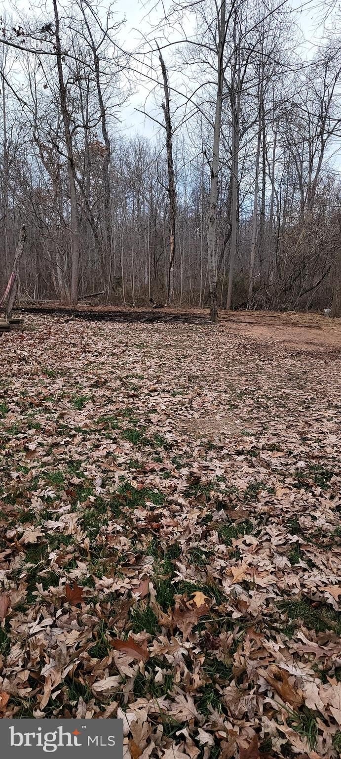 Land in Albrightsville, Pennsylvania
