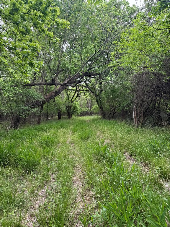 Picture 7