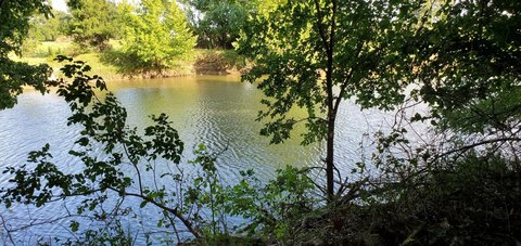 Secluded Waterfront Land