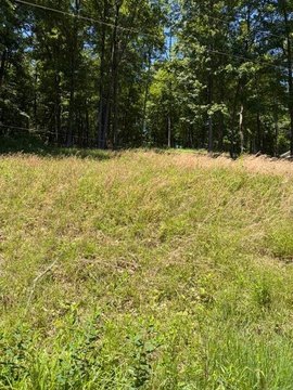 LAND - Buckhannon, WV