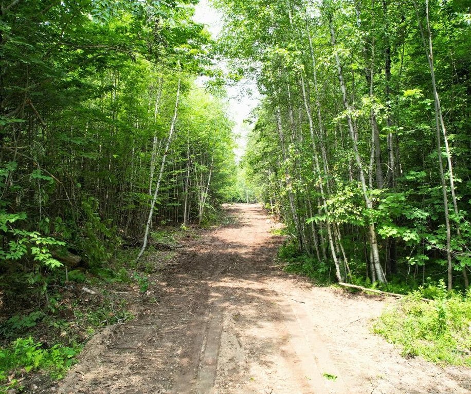 Picture 10