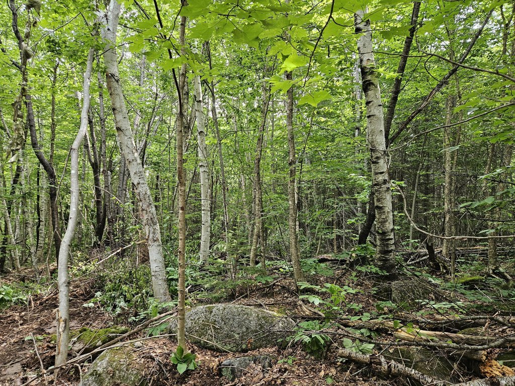 Picture 19
