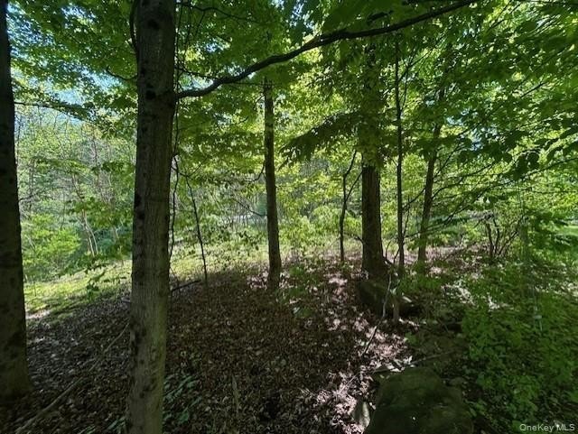 Picture 9