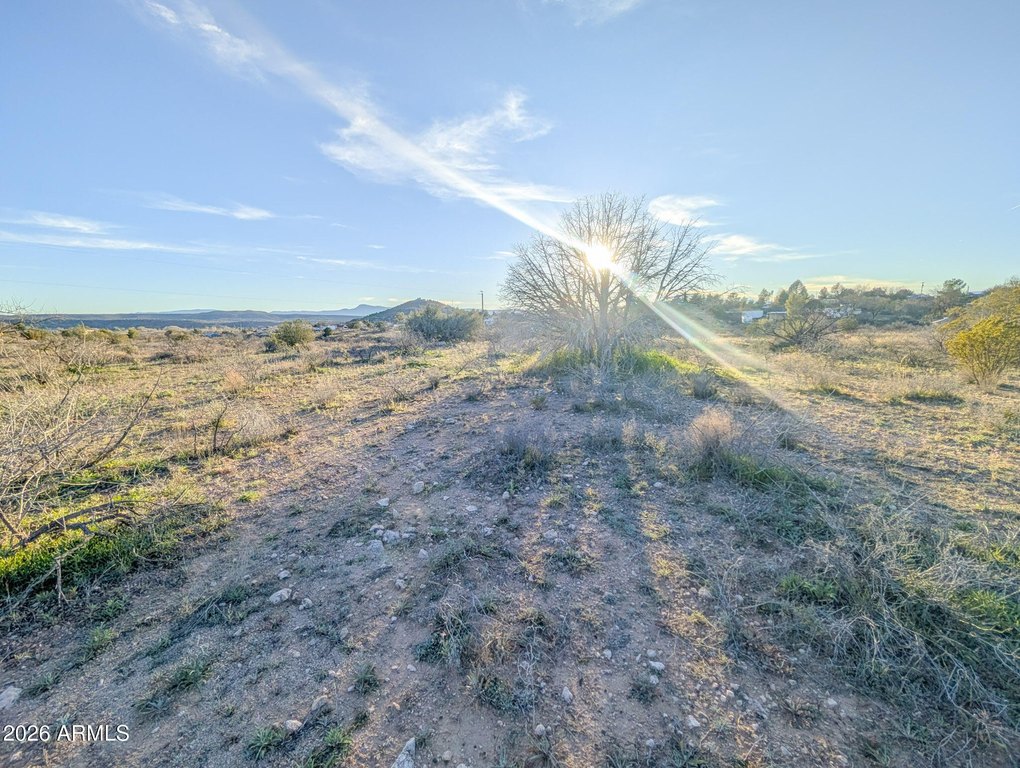 Picture 31