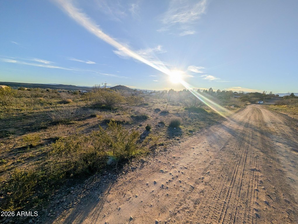 Picture 44