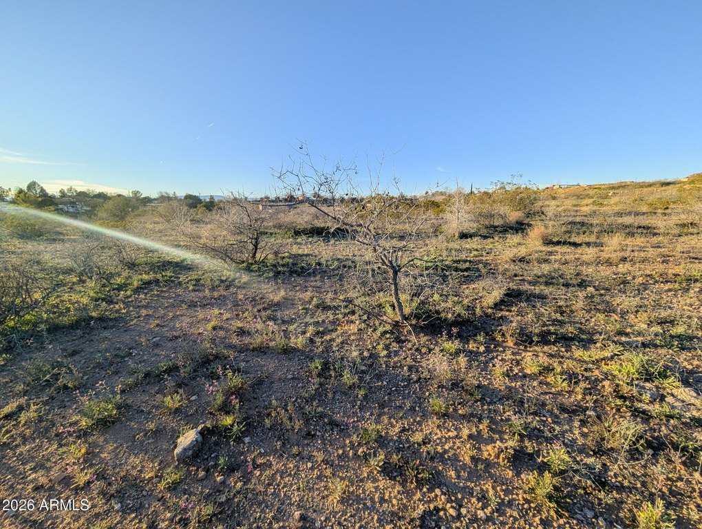 Picture 18