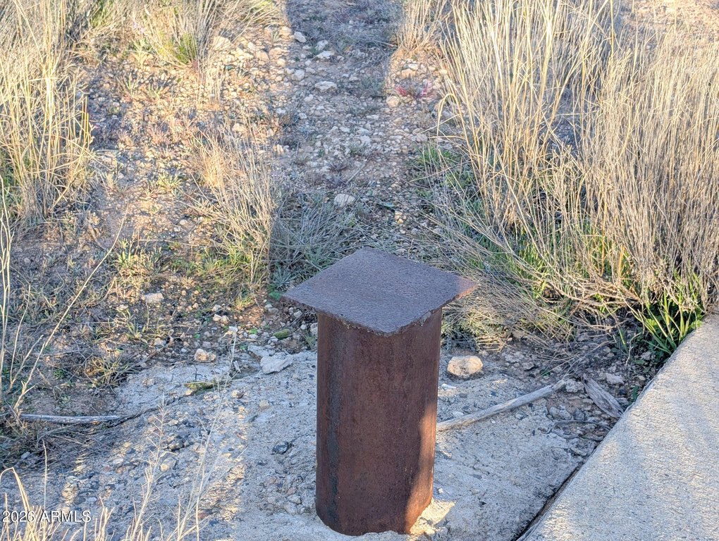 Picture 11