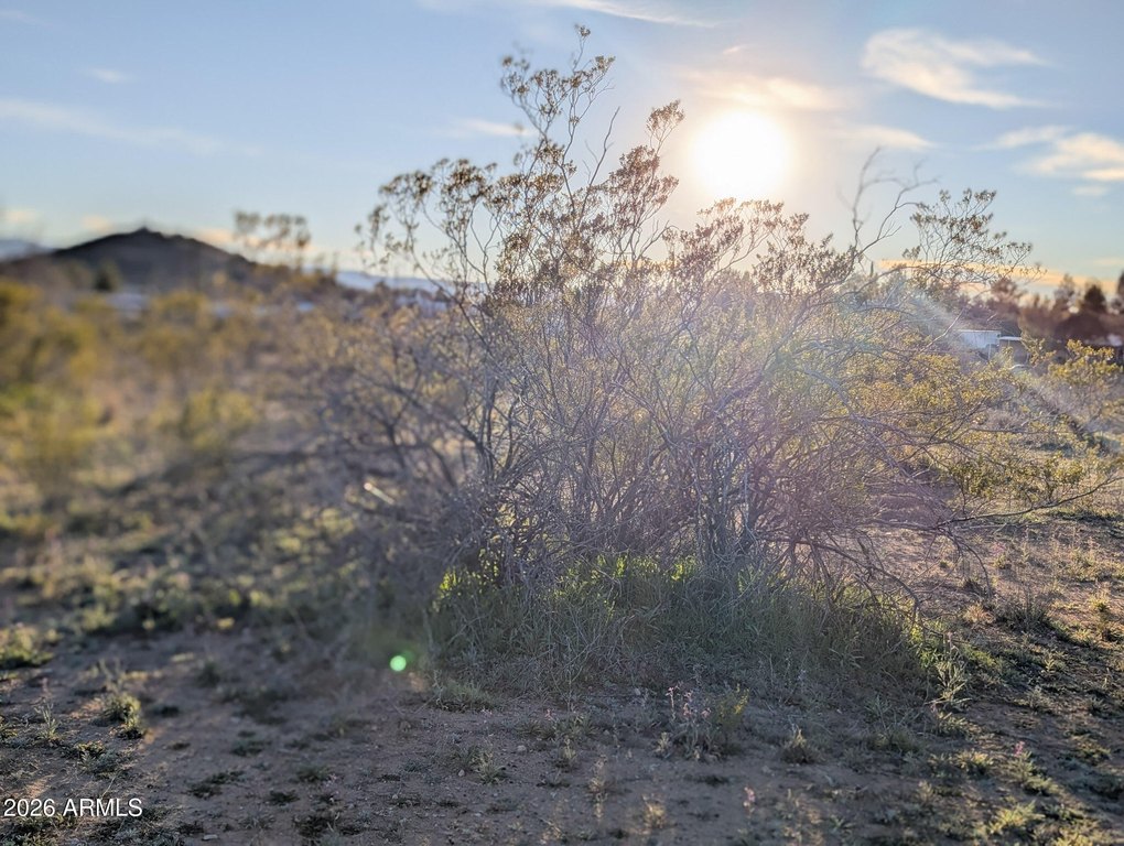 Picture 22