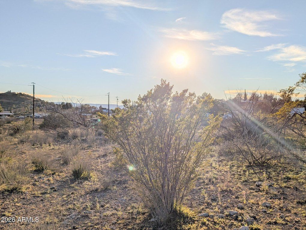Picture 29