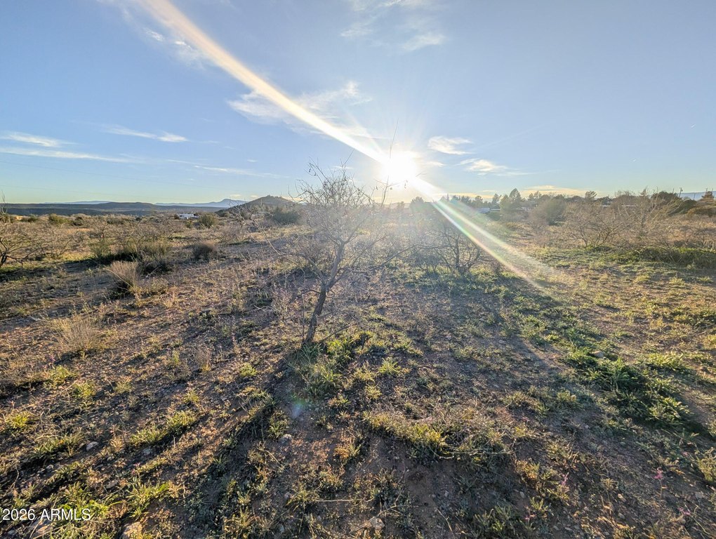 Picture 41