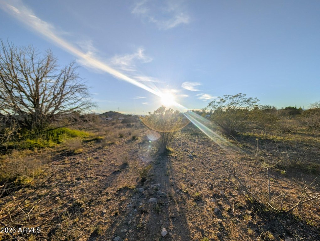 Picture 21