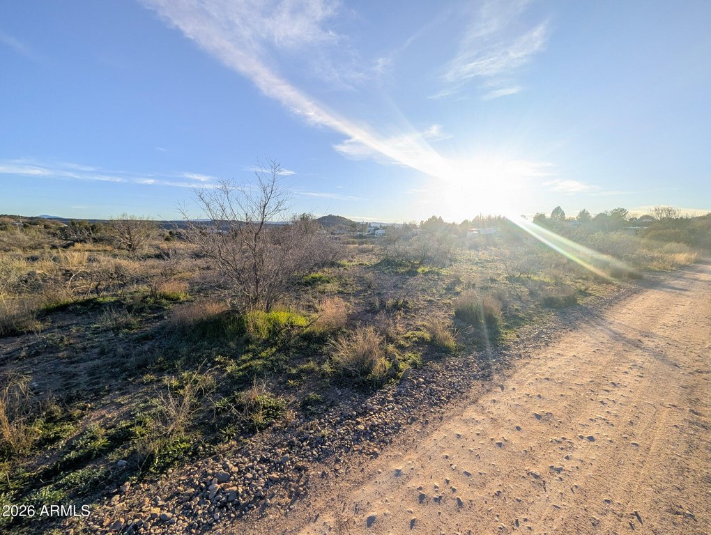 Picture 56