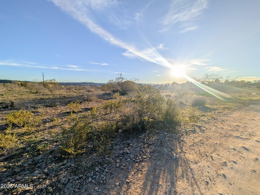 Picture 43
