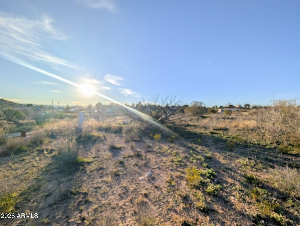 Picture 19