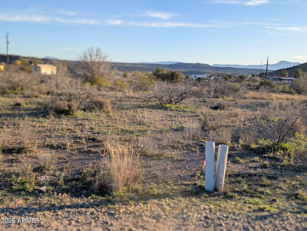 Picture 48