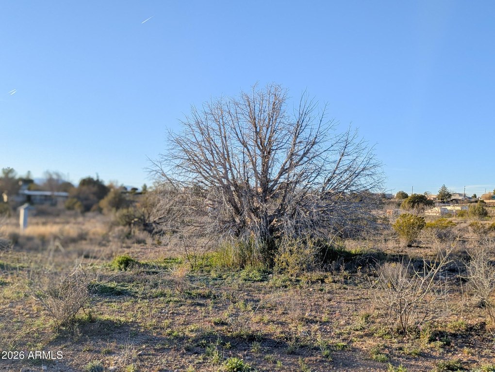 Picture 37