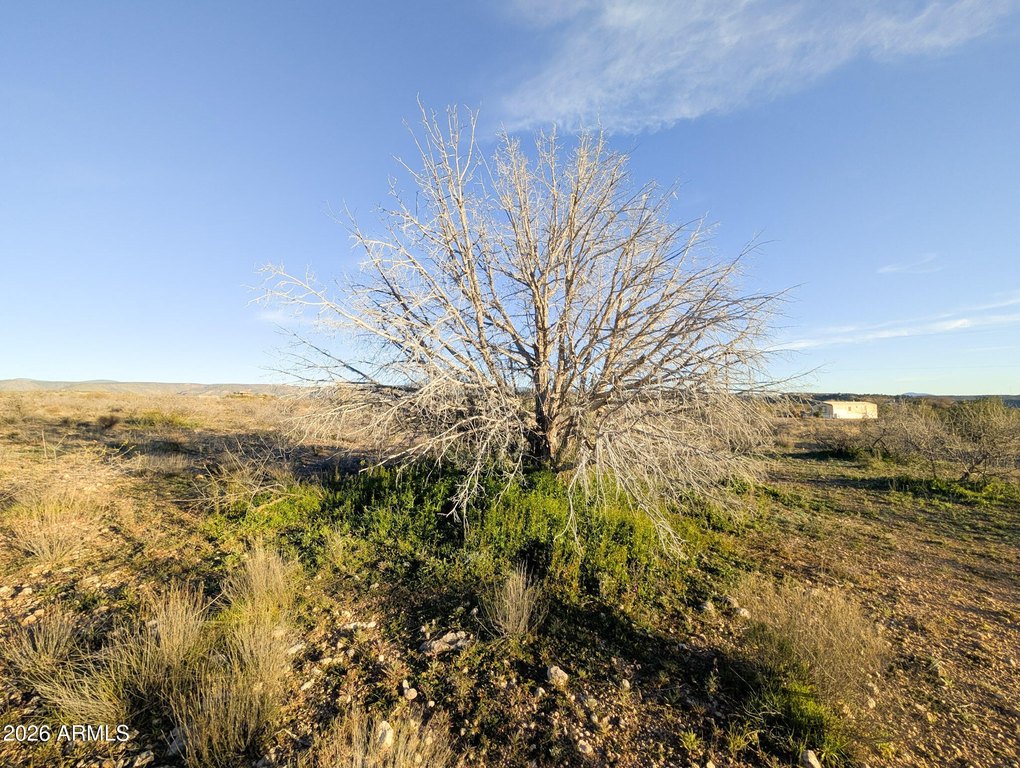 Picture 17