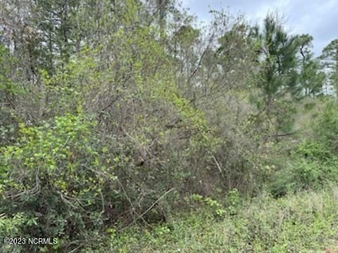 Wilmington Land For Sale