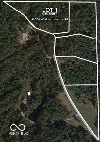 Picture 5