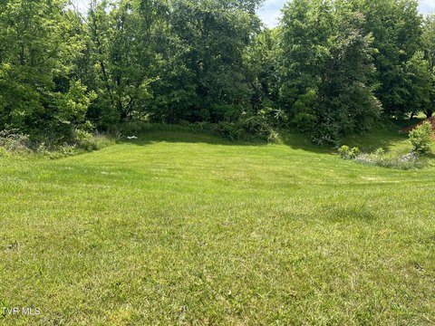 Residential Land in Johnson City